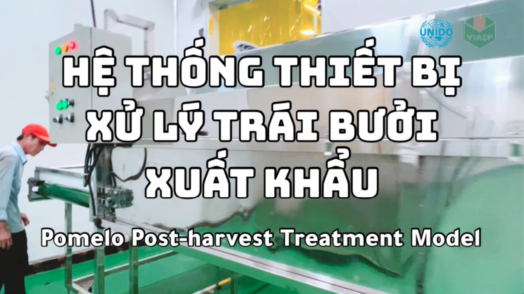 Hệ thống thiết bị xử lý trái Bưởi xuất khẩu